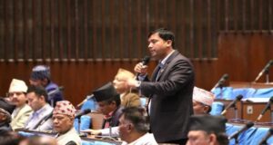 हिँड्दाहिँड्दै काँध गल्यो भनेर फेर्ने छुट सरकारलाई छैन:महेश बर्तौला