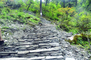 मुस्ताङमा वैकल्पिक पदमार्ग पहिचान