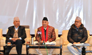 कांग्रेसले निजी क्षेत्रलाई सिध्याइदिएको ओलीको आरोप