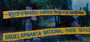 शुक्लाफाँटामा रिक्त दरबन्दीमा ‘सिमसार गज’