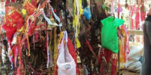 विक्रमबाबा मेलाको व्यवस्थापन भरतपुर महानगरले गर्ने