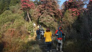 अप्रिलमा भित्रिए एक लाख १६ हजार विदेशी पर्यटक