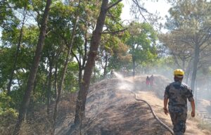 निलबाराबाहीको जङ्गलमा भीषण आगलागी, नियन्त्रणको प्रयास जारी