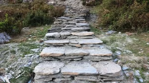 म्याग्दीको बिममा पक्की पदमार्ग निर्माण