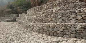 सिँचाइका लागि कोठीखोलामा तटबन्ध निर्माण