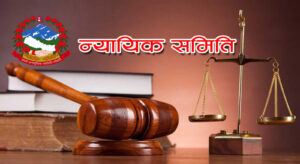 न्यायिक समिति सशक्त बनाउनुपर्नेमा जोड