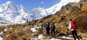 कञ्चनजङ्घा क्षेत्रमा पर्यटक बढेसँगै व्यवसायी उत्साहित