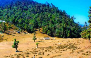 पर्यटकीय क्षेत्र रिठेडाँडामा थपिँदै पर्यटन पूर्वधार