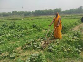 तरकारी खेतीबाट मनग्य आम्दानी