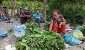 निगुरोको माग बढेसँगै मोरङका स्थानीय व्यापारमा व्यस्त