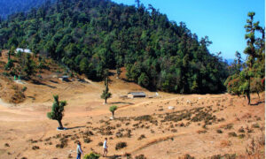 सोलेडाँडालाई जडीबुटी अनुसन्धान केन्द्र बनाइने