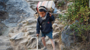 बालबालिकालाई श्रम लगाउने उद्योग प्रतिष्ठानमाथि कारबाही