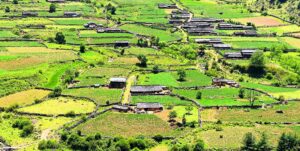 ग्रामीण जनजीवनलाई जीवित राखेका बागलुङको दिजगाउँ