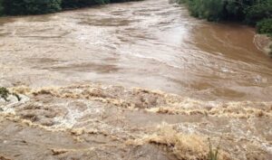 निरन्तर वर्षा : केही नदीमा जलसतह खतरास्तर नजिक