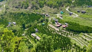 म्याग्दीमा कृषि विकासका विविध कार्यक्रम कार्यान्वयनमा