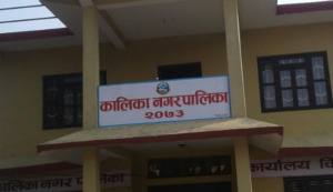 एकल महिलालाई आत्मनिर्भर बनाउने पालिकाको प्रयास