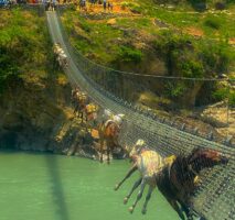 प्रतिनिधिसभा बैठक : कर्णालीको झोलुङ्गे पुल तत्काल मर्मत गर्न माग