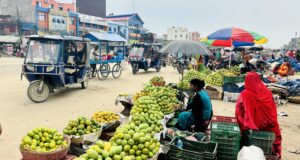 बजार व्यवस्थित नहुँदा सडकमै आँप किनबेच