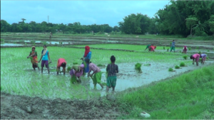 गोदाममा थन्किएको मल किसानले पाउन सकेनन्