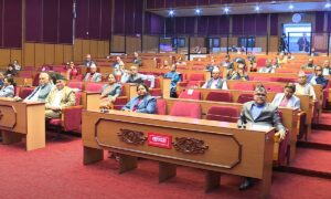 संघीय संसद अन्तर्गतका दुवै सदनको बैठक बस्दै