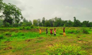 बाँकेमा एक लाख १० हजार वृक्षरोपण