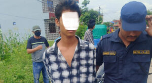 कुकुर मारेको निहुँमा छोराले गरे ढुंगाले हानेर बाबुको हत्या