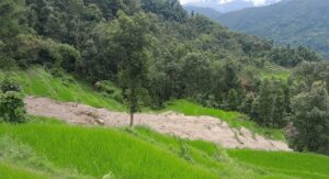 पहिरोले धानबालीसहितको खेत बगाएपछि कृषक चिन्तित
