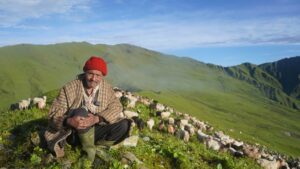 ‘विदेशमा दुःख गर्नुभन्दा बुकीमै भैँसी  पाल्दा सजिलो लागेको छ’