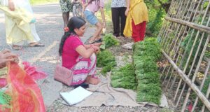 निगुरो व्यापार : लगानी बिना नै लोभलाग्दो आम्दानी