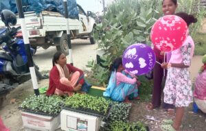 सागसब्जीका बेर्ना बेचेर प्रशस्त आम्दानी