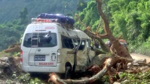 गुडिरहेको माइक्रो बसमाथि रुख ढल्दा नौ यात्रु घाइते