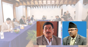 एमाले स्थायी कमिटी सदस्यमा  मुकुन्द न्यौपाने र लीलानाथ श्रेष्ठ मनोनीत