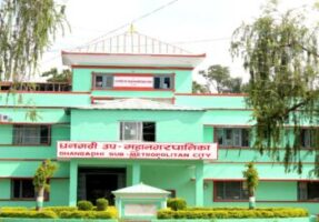 धनगढी उपमहानगरको ‘आमा बचाउ’ अभियान प्रभावकारी