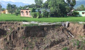 नहर भत्किँदा धानखेतीमा क्षति