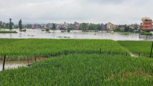 पीडित भन्छन् :  विपद्का बेला गाउँमा सरकार आए जस्तै भयो