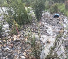 लगातारको झरीका कारण मुस्ताङमा बाढीबाट क्षति