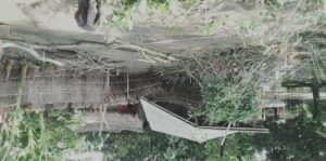 पानी घटेपछि बाढीपीडितहरू घर फर्किए