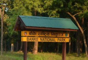 बाँके राष्ट्रिय निकुञ्जमा सूचना केन्द्र स्थापना गरिँदै
