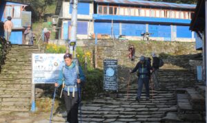 पुनहिल–घोडेपानीमा पर्यटक आगमन उत्साहजनक