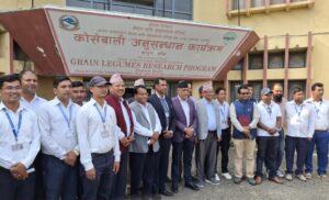 बालीमा लाग्ने नयाँ रोग र समस्या पत्ता लगाउन आग्रह