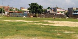 राजविराज व्यापारिक महोत्सव हुँदै