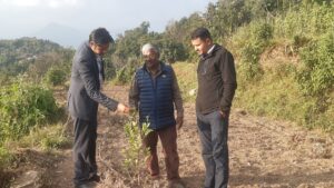 पोखराको बाँझो जग्गामा कागतीखेती