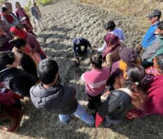 बेनीमा माटोको गुणस्तरमा ह्रास