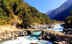 श्रमदान गरेर तमोर नदीमा काठे  पुल निर्माण