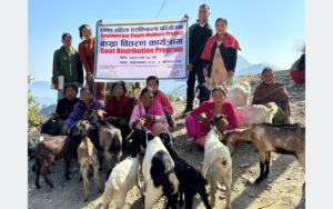 चितवनका एकल चेपाङ महिलालाई बाख्रा वितरण