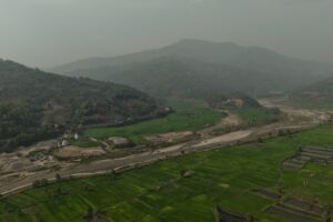 चैते धानले हरियाली देखिएको दरौंदीका फाँट (तस्बिरहरू)