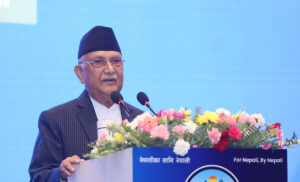 एमालेले गैर आवासीय नेपाली संगठनलाई दलीय हितमा प्रयोग गर्दैनः प्रधानमन्त्री ओली