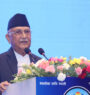 एमालेले गैर आवासीय नेपाली संगठनलाई दलीय हितमा प्रयोग गर्दैनः प्रधानमन्त्री ओली