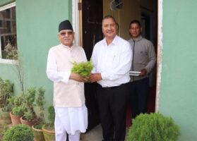 विप्लवलाई भेट्न हरिसिद्धि पुगे प्रचण्ड