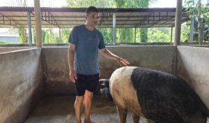 सुँगुर फार्ममा बाढी पस्दा रु ८० लाख बराबरको क्षति